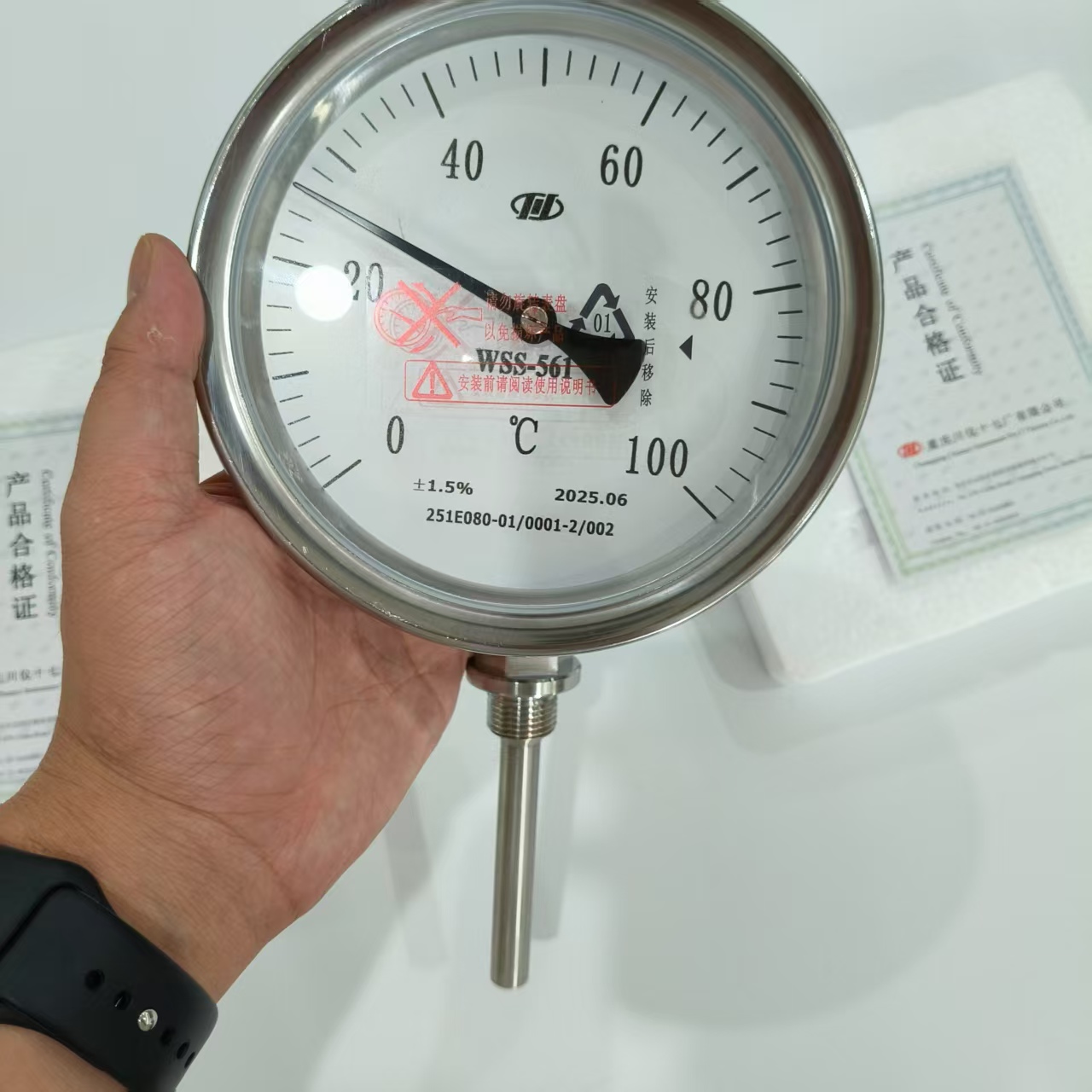 重庆川仪-双金属温度计6.jpg