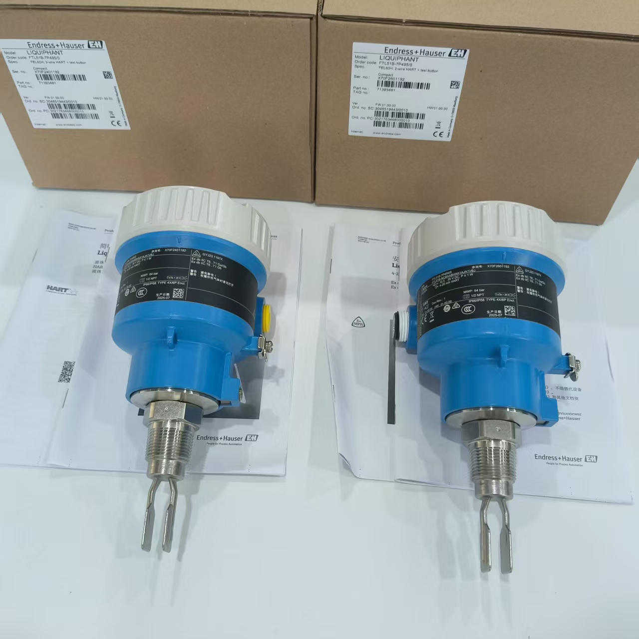 E+H FTL51B系列音叉开关2.jpg