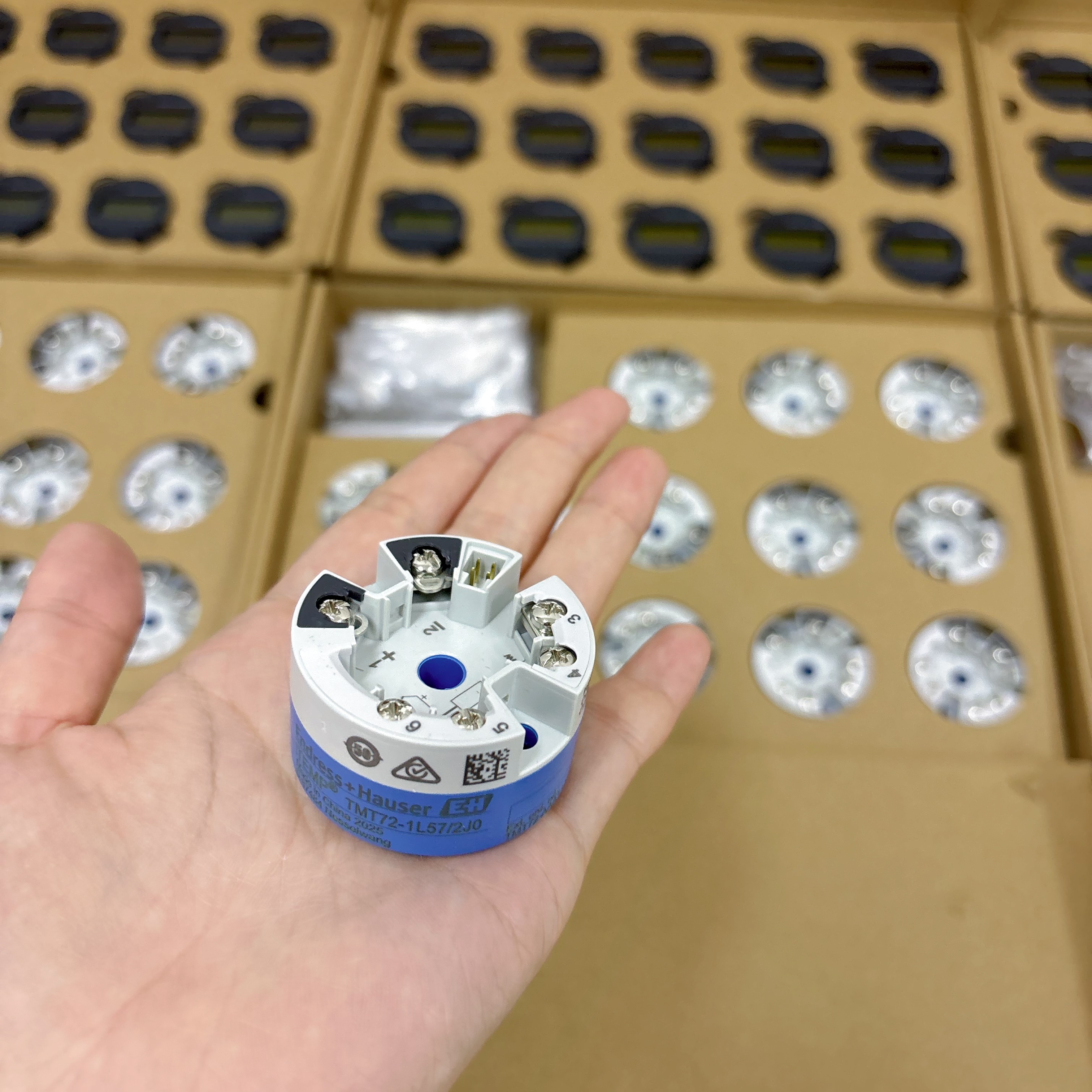 恩德斯豪斯（E+H）温度模块 是怎么在石油化工领域使用的呢？