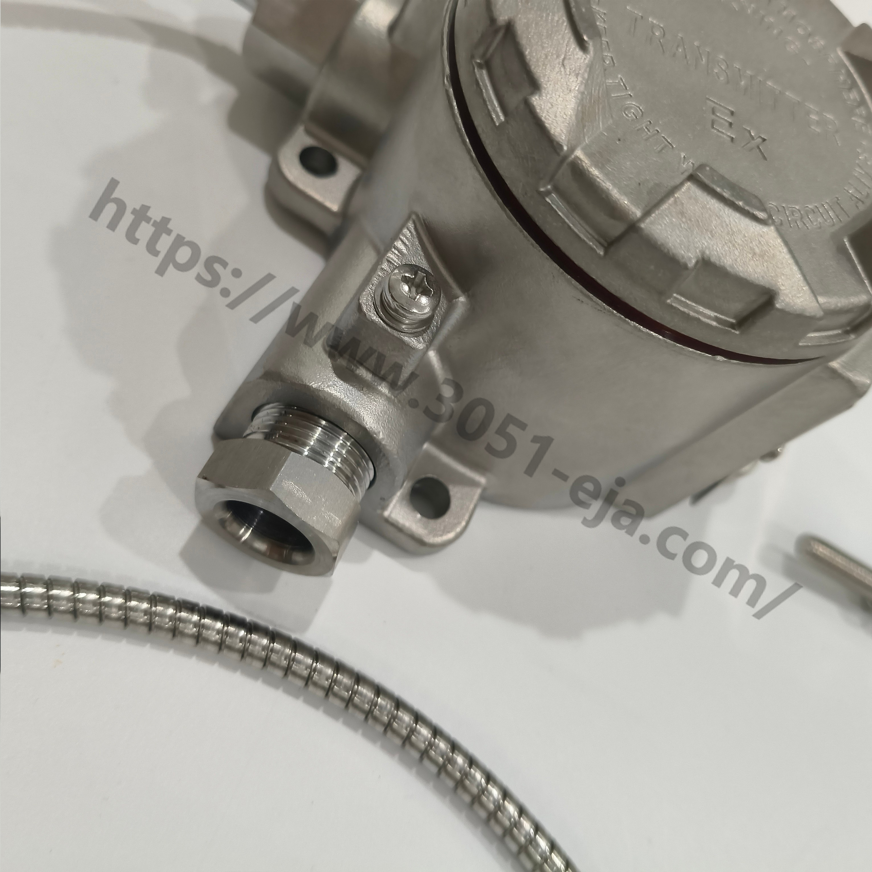 森纳士 SENEX 防爆型壁挂式热电阻：危险工况的温度监测核心