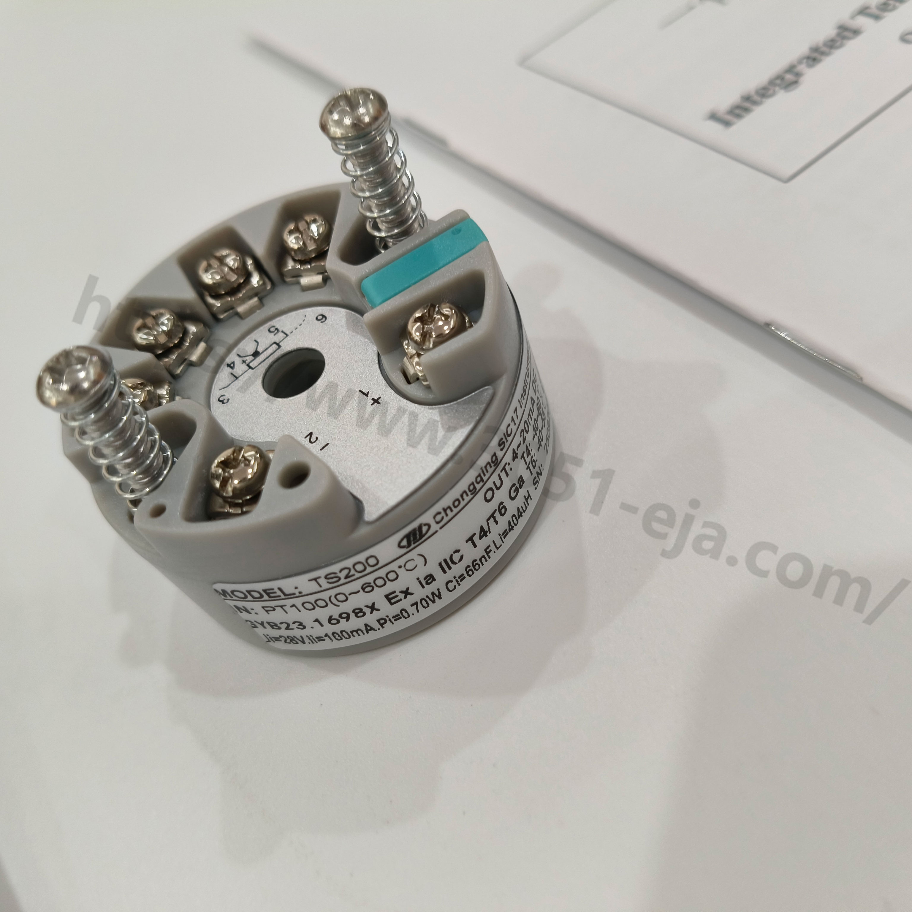 重庆川仪 TS200 系列温度模块：工业测温的智能集成中枢