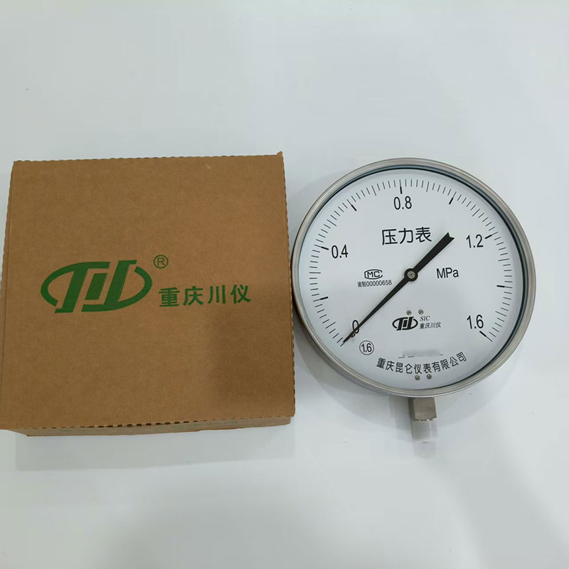 压力表表盘直径200mm3.jpg